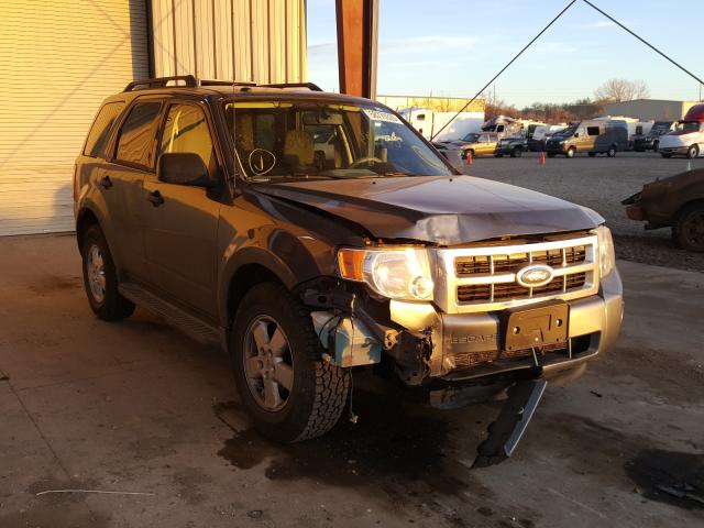 FORD ESCAPE XLT 2010 1fmcu9dg1aka00961