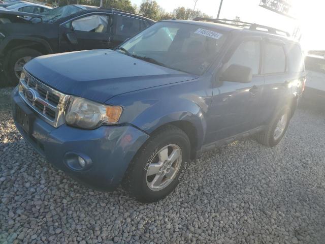 FORD ESCAPE XLT 2010 1fmcu9dg1akb81494