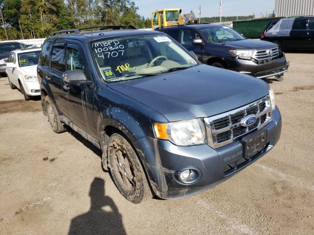 FORD ESCAPE XLT 2010 1fmcu9dg1akc47073