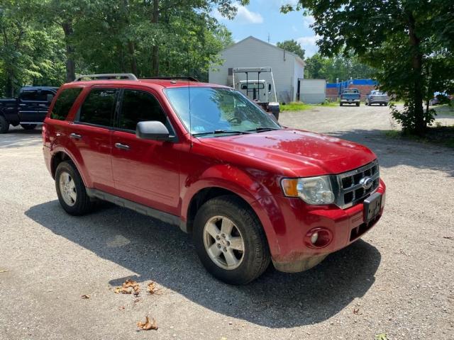 FORD ESCAPE XLT 2010 1fmcu9dg1akc96516