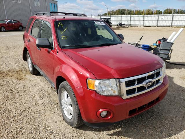 FORD ESCAPE XLT 2010 1fmcu9dg1akd47352