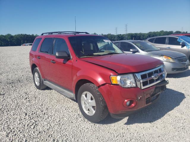 FORD ESCAPE XLT 2011 1fmcu9dg1bkb13732