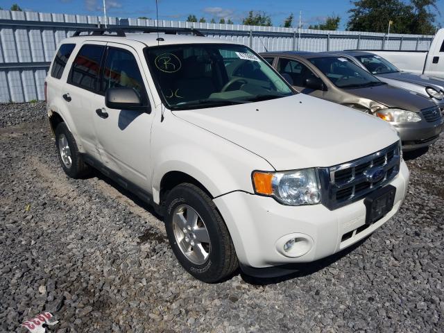 FORD ESCAPE XLT 2011 1fmcu9dg1bkb61554