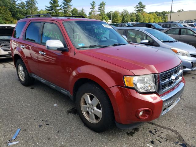 FORD ESCAPE XLT 2011 1fmcu9dg1bkc53120