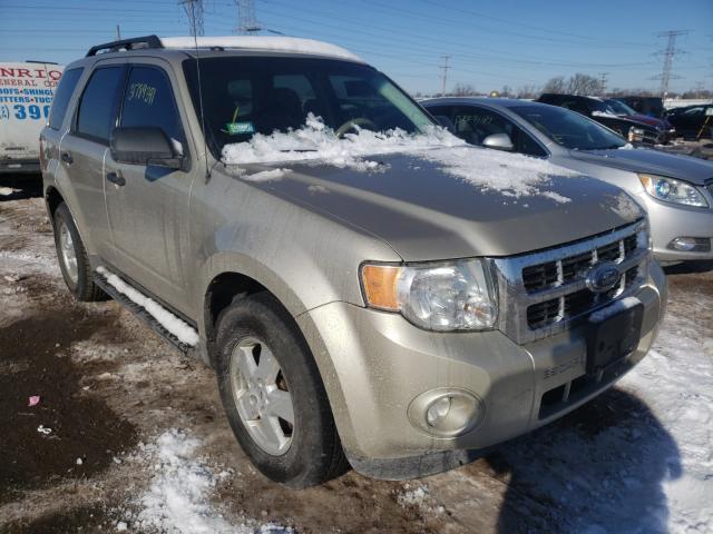 FORD ESCAPE XLT 2010 1fmcu9dg2aka02475