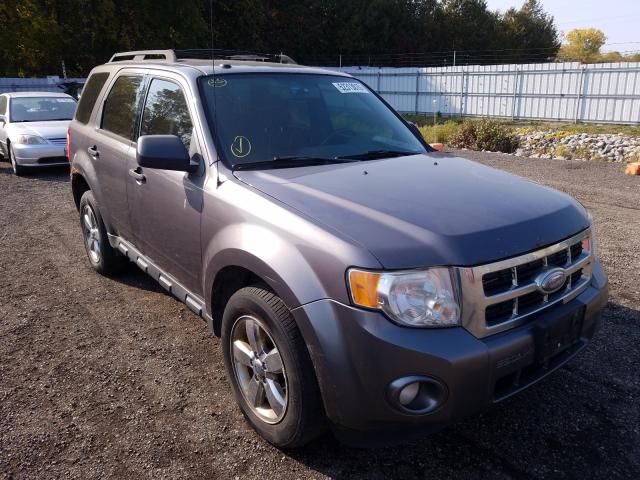 FORD ESCAPE XLT 2010 1fmcu9dg2aka40613