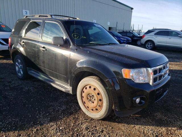 FORD ESCAPE XLT 2010 1fmcu9dg2akb17111