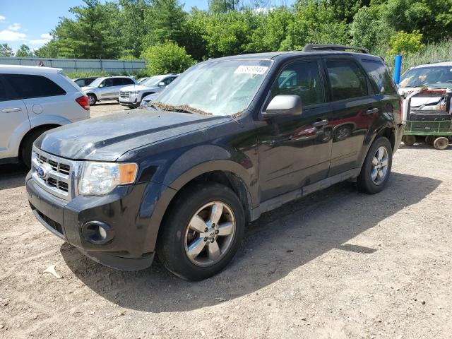 FORD ESCAPE 2010 1fmcu9dg2akb81567