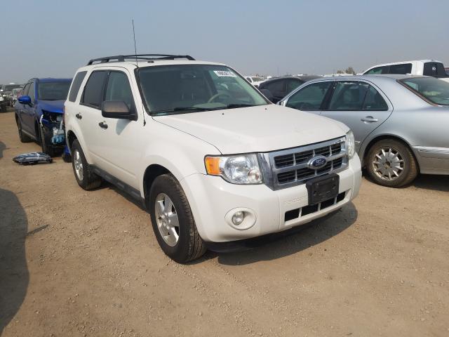 FORD ESCAPE XLT 2010 1fmcu9dg2akc25552