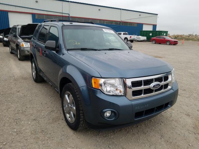 FORD ESCAPE XLT 2010 1fmcu9dg2akc38642