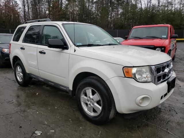 FORD ESCAPE XLT 2010 1fmcu9dg2akc68384