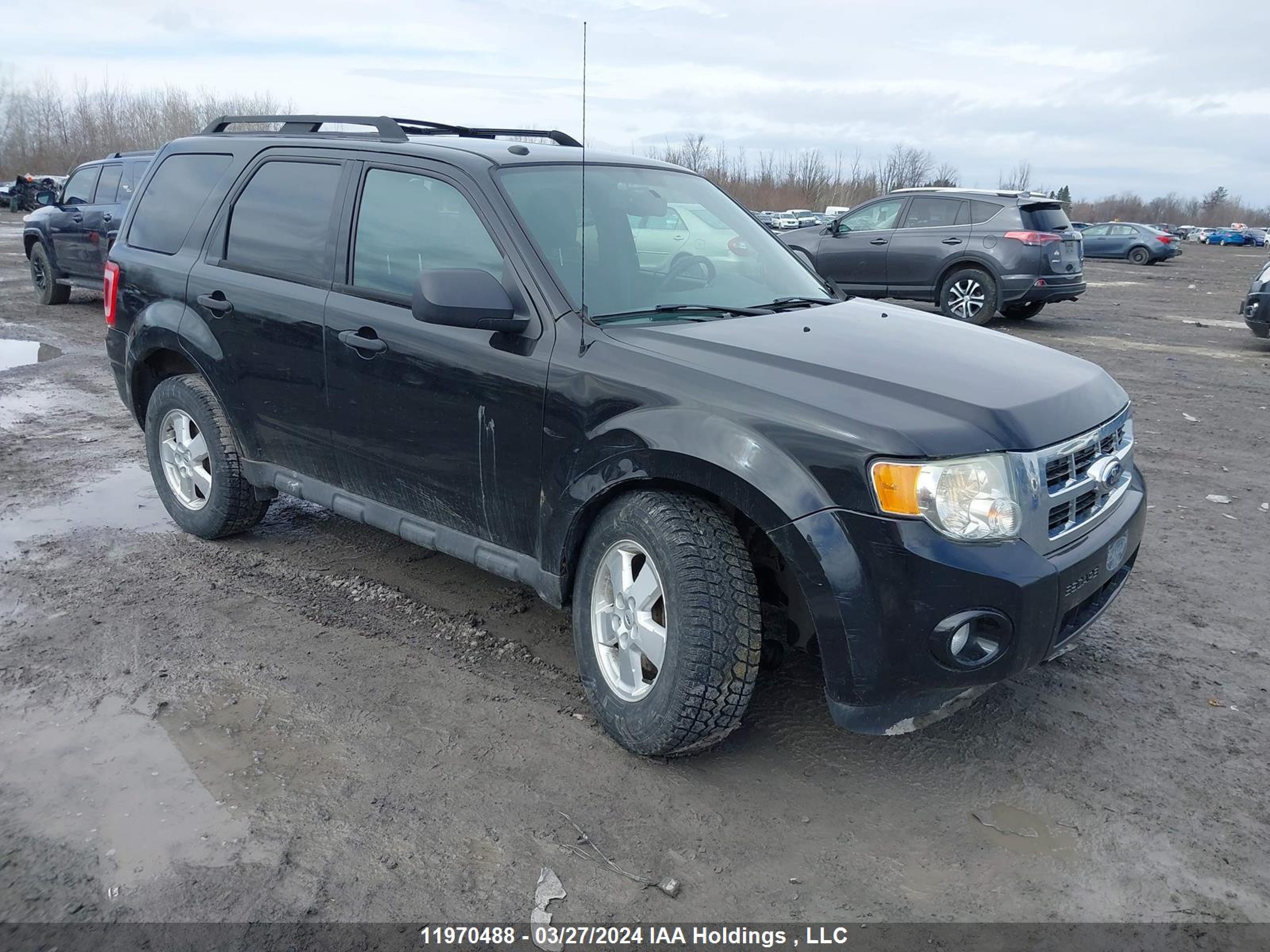 FORD ESCAPE 2011 1fmcu9dg2bka01182