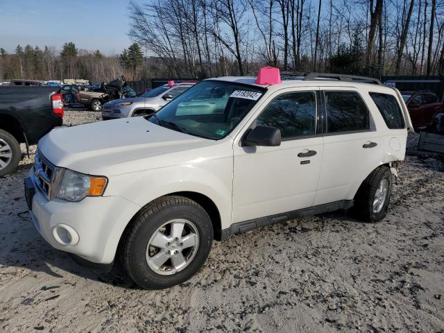 FORD ESCAPE XLT 2011 1fmcu9dg2bka12005