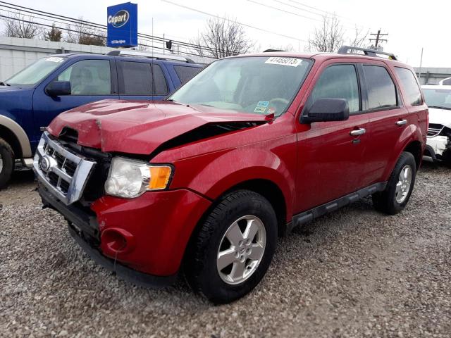 FORD ESCAPE XLT 2011 1fmcu9dg2bkb27784