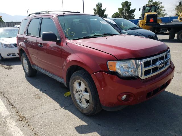 FORD ESCAPE XLT 2011 1fmcu9dg2bkb73177