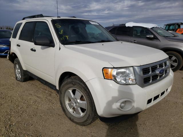 FORD ESCAPE XLT 2011 1fmcu9dg2bkb86639