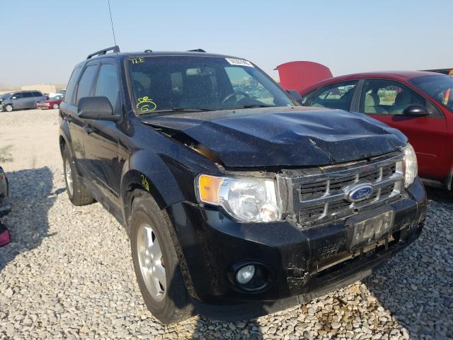 FORD ESCAPE XLT 2011 1fmcu9dg2bkc53532