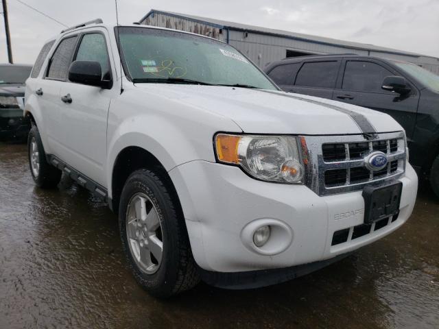 FORD ESCAPE XLT 2011 1fmcu9dg2bkc55281