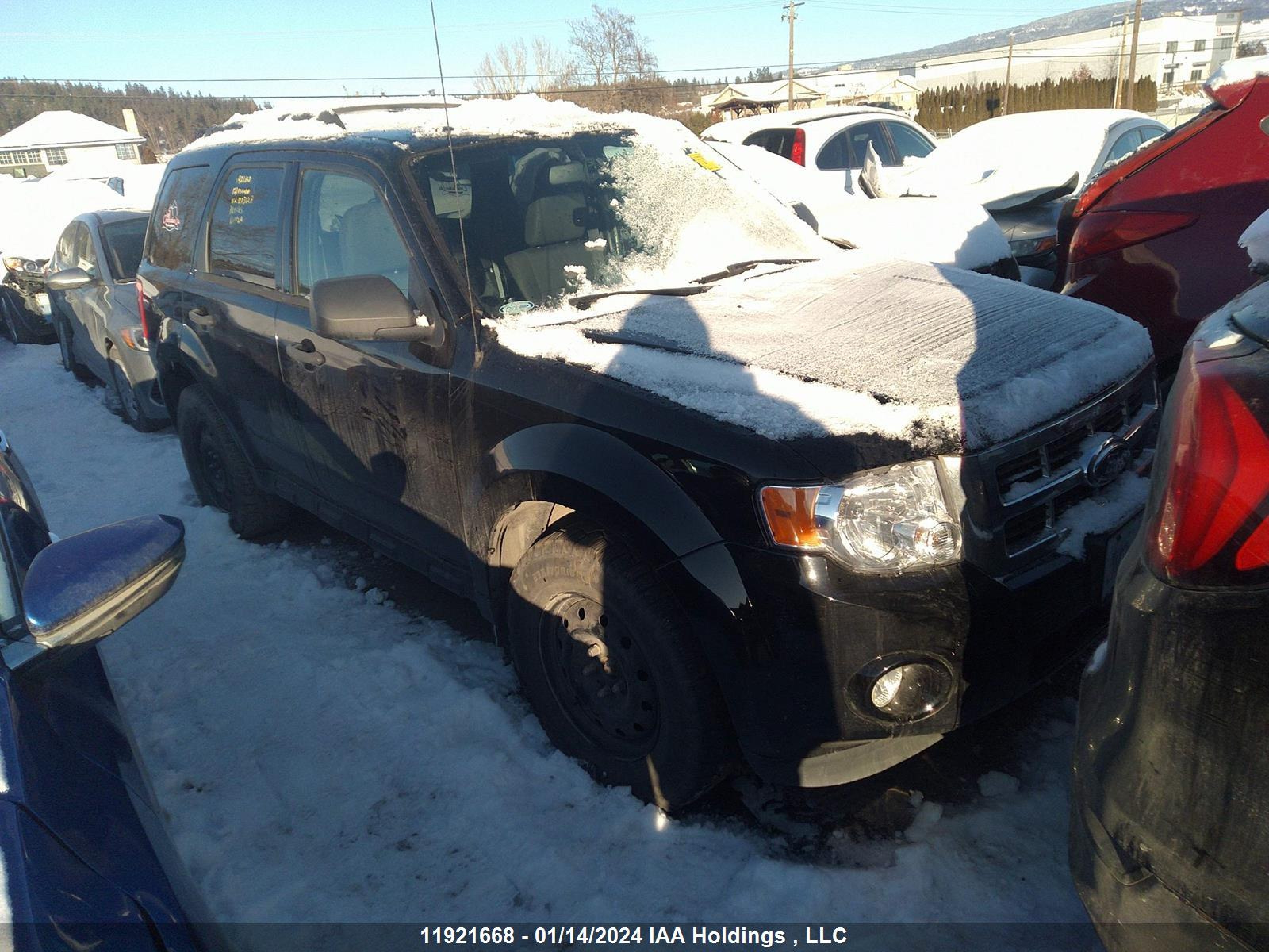 FORD ESCAPE 2012 1fmcu9dg2ckb73228