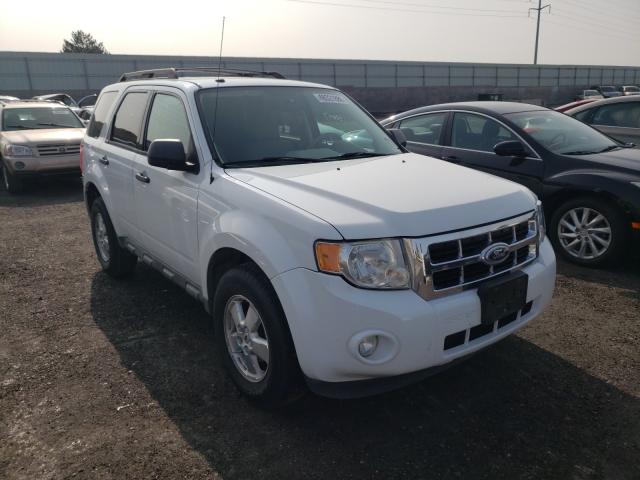 FORD ESCAPE XLT 2010 1fmcu9dg3akb76961