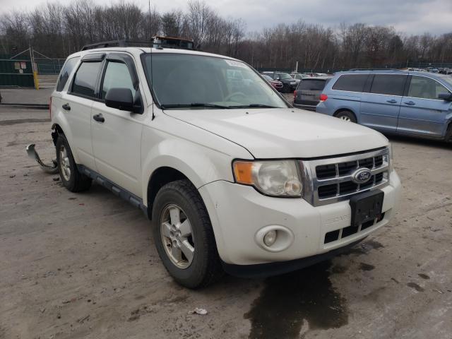 FORD ESCAPE XLT 2010 1fmcu9dg3akc50766