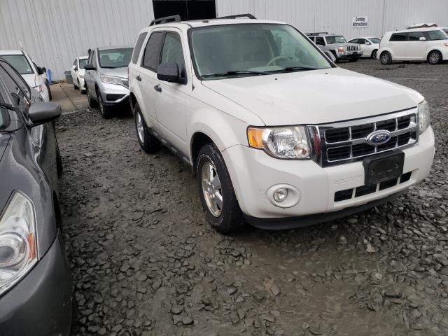 FORD ESCAPE XLT 2010 1fmcu9dg3akc66787