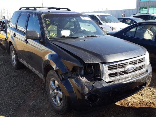 FORD ESCAPE XLT 2011 1fmcu9dg3bka76506