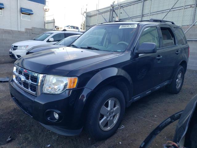 FORD ESCAPE XLT 2011 1fmcu9dg3bkb13831