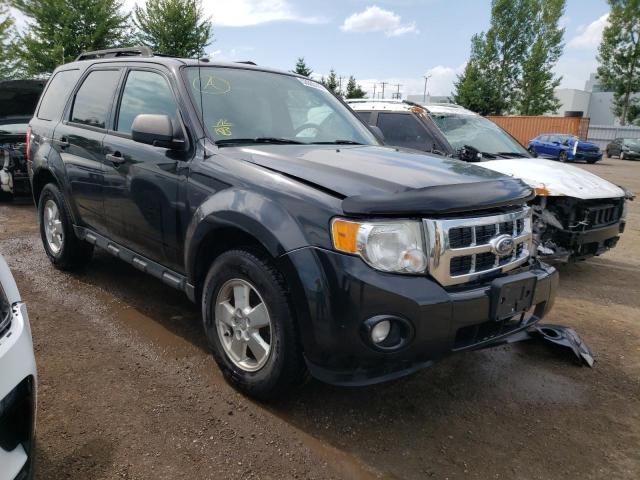 FORD ESCAPE XLT 2011 1fmcu9dg3bkb37546