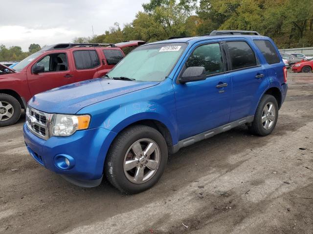 FORD ESCAPE XLT 2011 1fmcu9dg3bkb44853