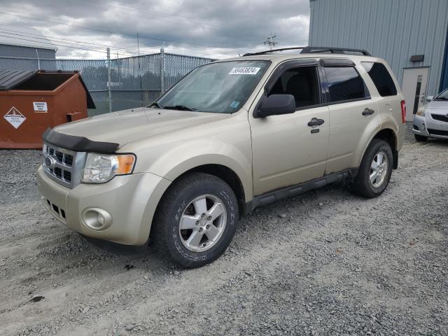 FORD ESCAPE XLT 2011 1fmcu9dg3bkb55139