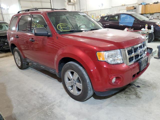 FORD ESCAPE XLT 2011 1fmcu9dg3bkb64133