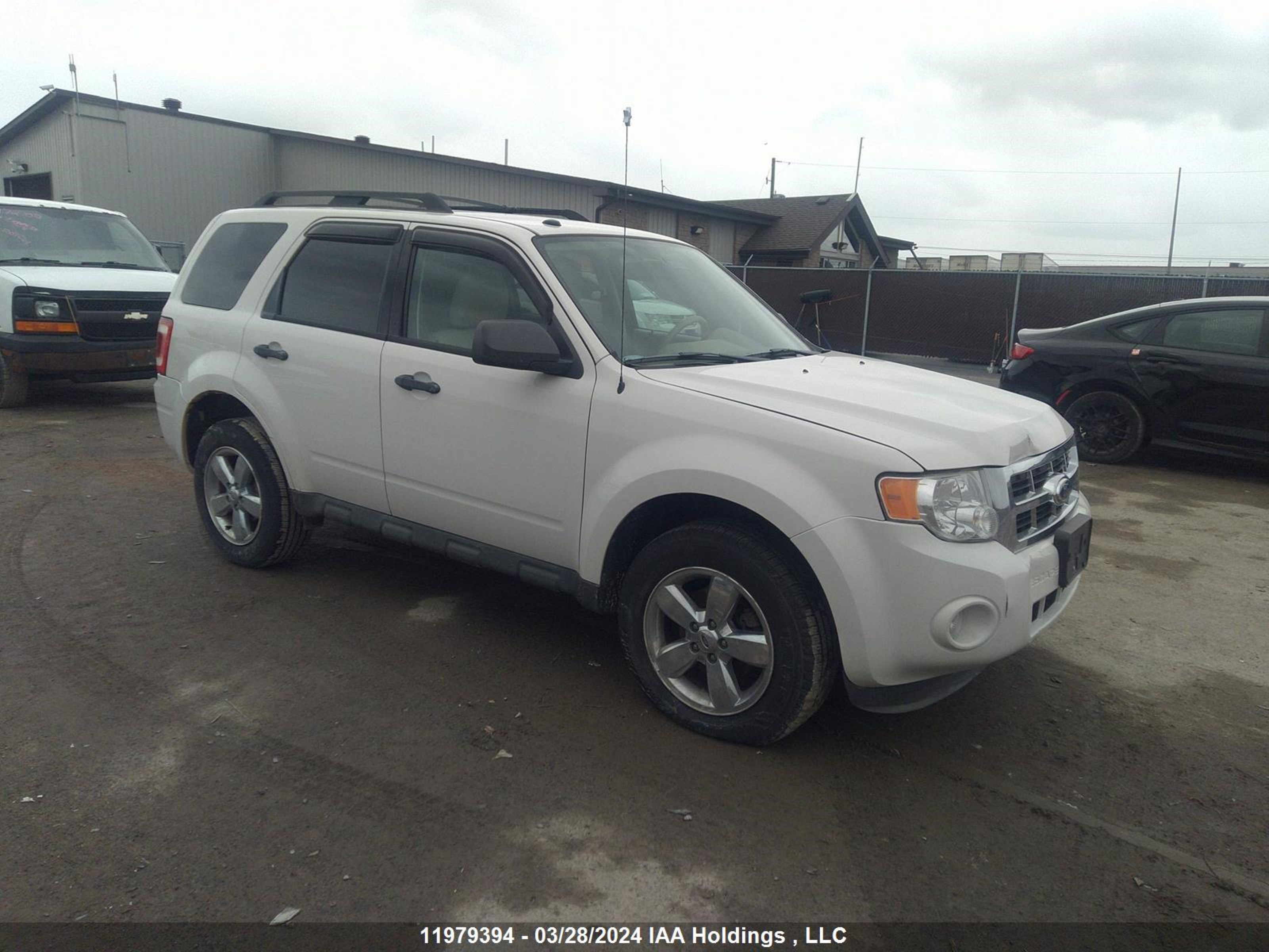 FORD ESCAPE 2011 1fmcu9dg3bkc67780