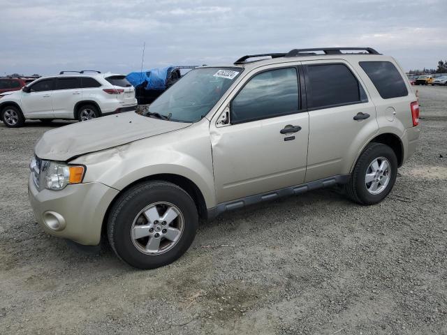 FORD ESCAPE 2012 1fmcu9dg3ckb43171