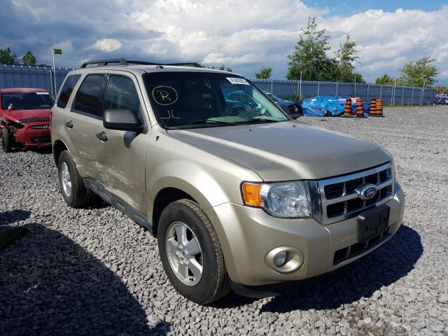 FORD ESCAPE XLT 2010 1fmcu9dg4aka98996