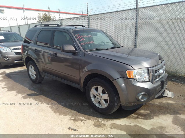 FORD ESCAPE 2010 1fmcu9dg4akb63491