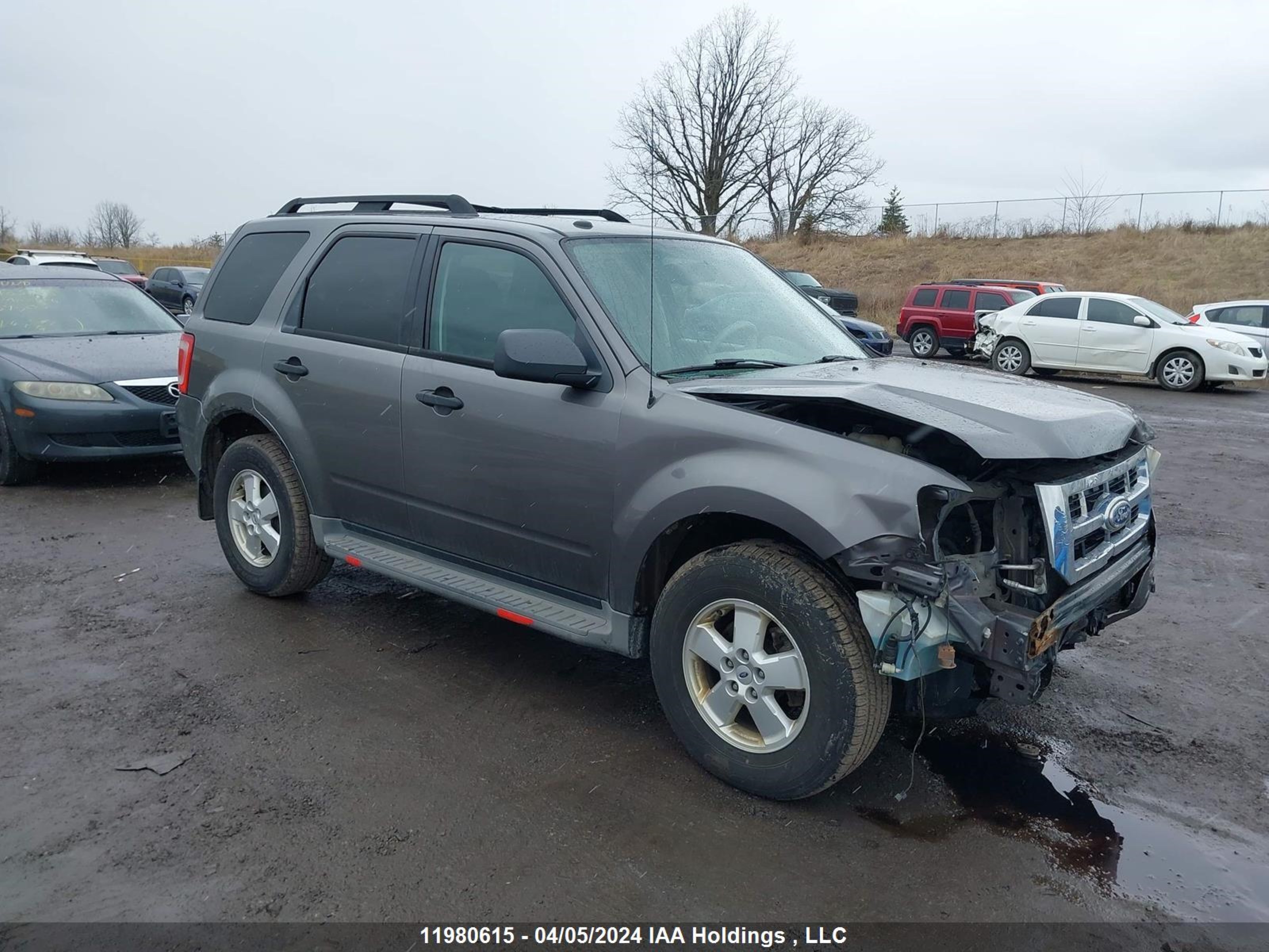 FORD ESCAPE 2010 1fmcu9dg4akc12186