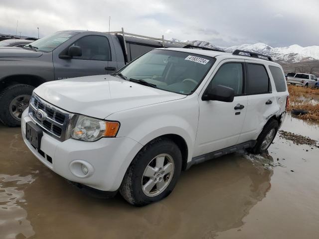 FORD ESCAPE 2010 1fmcu9dg4akc28372