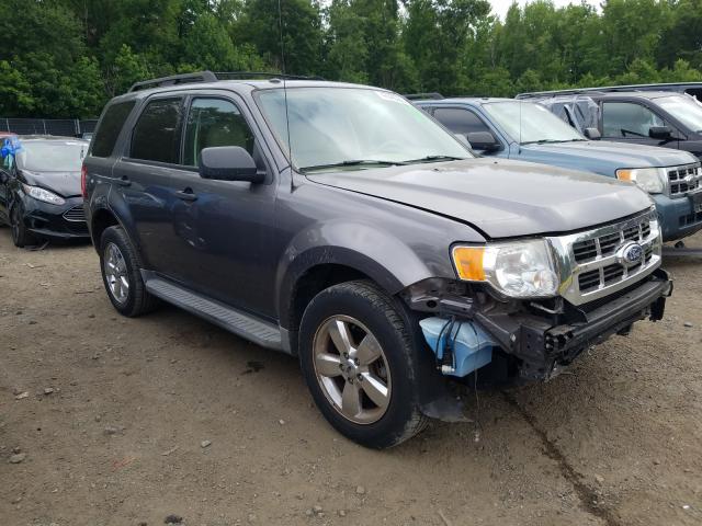 FORD ESCAPE XLT 2010 1fmcu9dg4akc62652