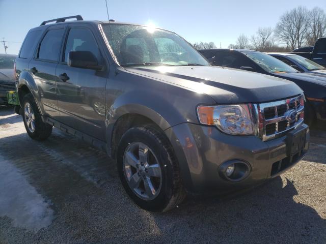 FORD ESCAPE XLT 2010 1fmcu9dg4akc82464