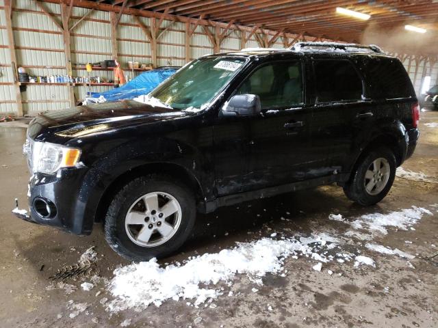 FORD ESCAPE 2010 1fmcu9dg4akc98308