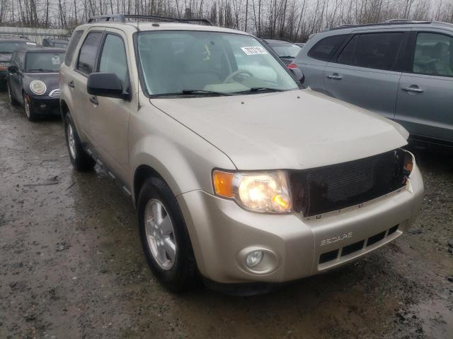 FORD ESCAPE XLT 2010 1fmcu9dg4akd20226