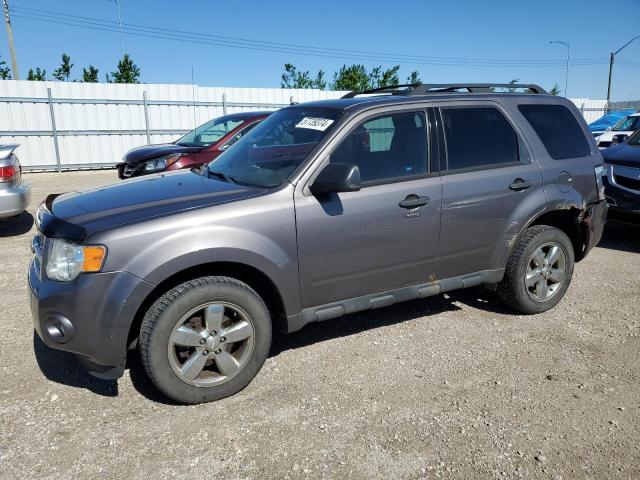 FORD ESCAPE XLT 2011 1fmcu9dg4bka94268