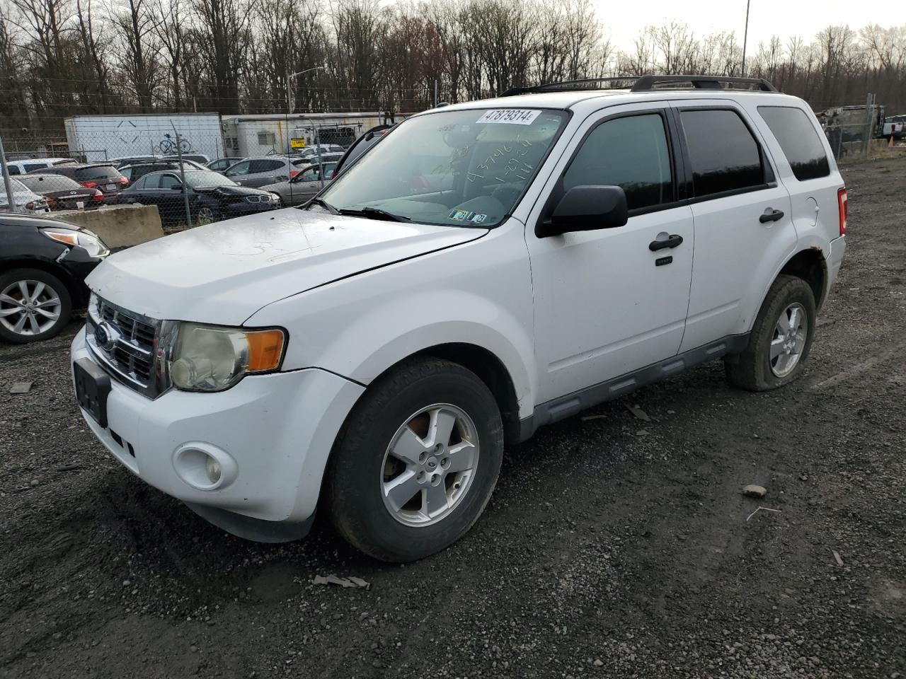 FORD ESCAPE 2011 1fmcu9dg4bkb35482