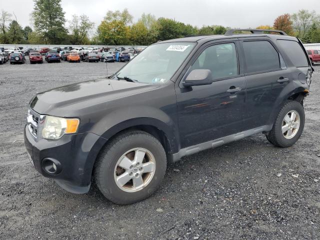 FORD ESCAPE XLT 2011 1fmcu9dg4bkb53674