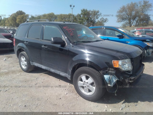 FORD ESCAPE 2012 1fmcu9dg4cka07504