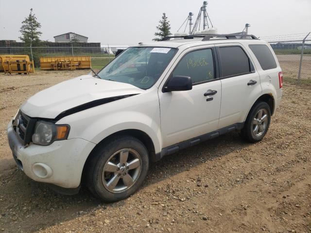 FORD ESCAPE XLT 2012 1fmcu9dg4ckb46158