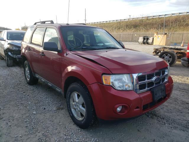 FORD ESCAPE XLT 2010 1fmcu9dg5aka01076