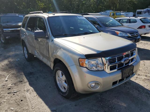 FORD ESCAPE XLT 2010 1fmcu9dg5aka41755