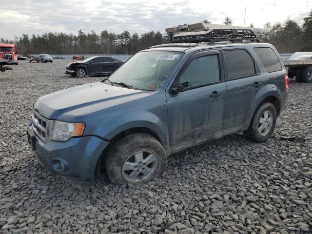 FORD ESCAPE 2010 1fmcu9dg5aka71371